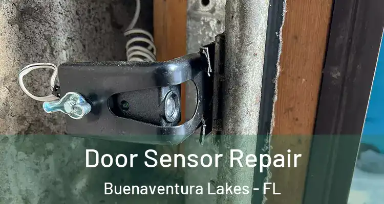  Door Sensor Repair Buenaventura Lakes - FL