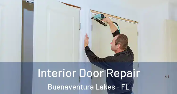  Interior Door Repair Buenaventura Lakes - FL
