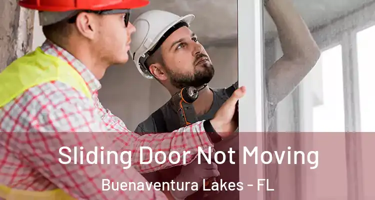  Sliding Door Not Moving Buenaventura Lakes - FL