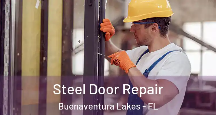  Steel Door Repair Buenaventura Lakes - FL